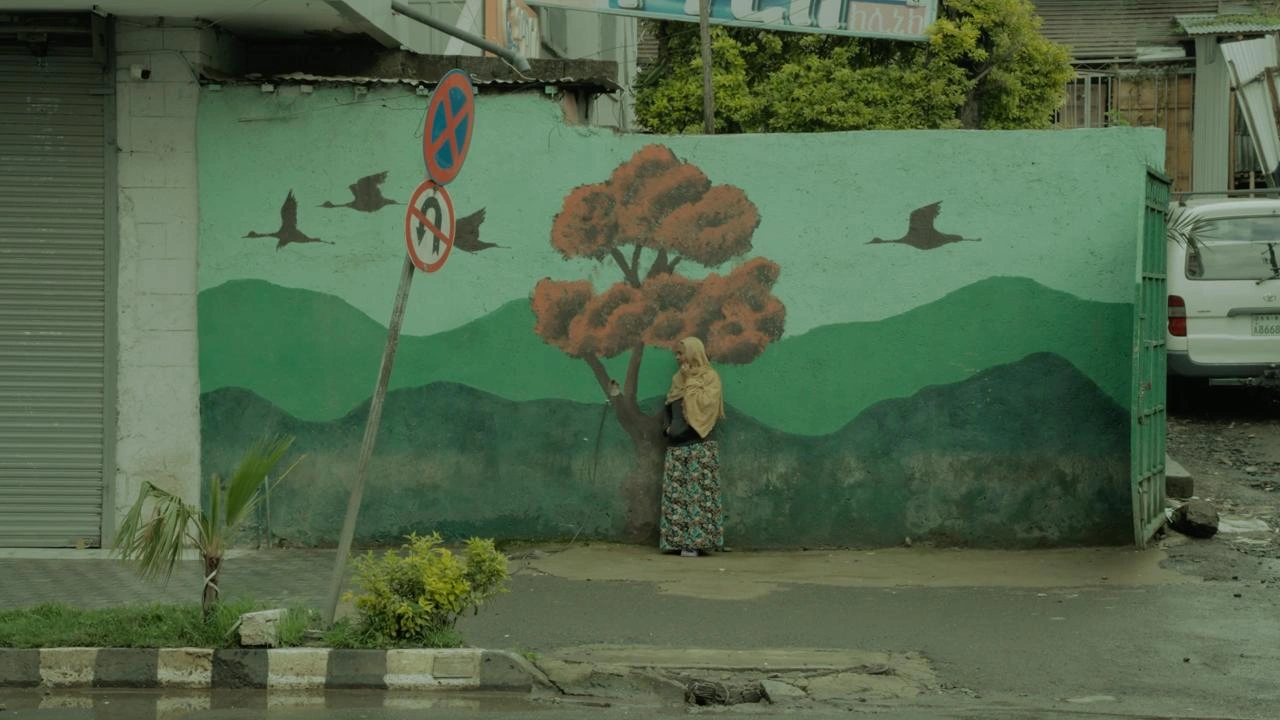 sKINs_Addis Abeba